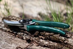 Immagine per la categoria Scissors