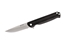 Picture of Buck LANGFORD BLACK G-10 251BKS