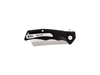 Picture of Buck TRUNK BLACK G-10 252BKS