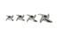 Immagine di COLTELLO P/TRITACARNE FAPATOOL INOX 32