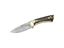 Immagine di Muela COLIBRI' STAG DAMASCUS INOX 7DAM