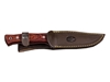 Immagine di Muela POINTER WOOD 12R