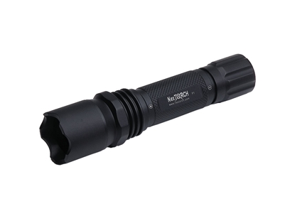 Picture of Nextorch P1 Ricaricabile 60 Lumens LED