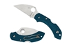 Immagine di Spyderco DRAGONFLY 2 FRN BLUE WHARNCLIFFE C28FP2WK390