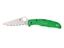 Picture of Spyderco PACIFIC SALT 2 GREEN LC200N SERRATED C91FSGR2
