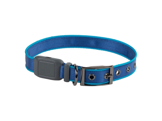 Picture of Niteize NITEDOG RECHARGEABLE LED COLLAR LARGE Blue NDCRL-03-R3