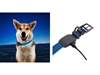Picture of Niteize NITEDOG RECHARGEABLE LED COLLAR LARGE Blue NDCRL-03-R3