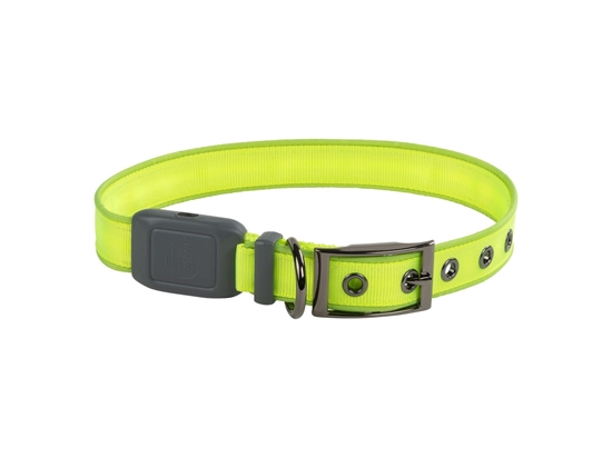 Immagine di Niteize NITEDOG RECHARGEABLE LED COLLAR LARGE Lime NDCRL-17-R3
