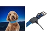 Picture of Niteize NITEDOG RECHARGEABLE LED COLLAR MEDIUM Blue NDCRM-03-R3