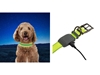 Immagine di Niteize NITEDOG RECHARGEABLE LED COLLAR MEDIUM Lime NDCRM-17-R3