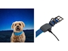 Immagine di Niteize NITEDOG RECHARGEABLE LED COLLAR SMALL Blue NDCRS-03-R3