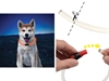 Immagine di Niteize NITEHOWL LED SAFETY NECKLACE Orange NHO-19-R3