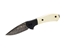 Immagine di Buck PARADIGM IVORY G10 DAMASCUS 590IVSLE Limited Edition