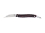 Immagine di Crkt FOREBEAR RED & BLACK SLIPJOINT 4810