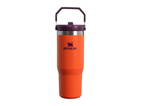 Immagine di Stanley GO ICEFLOW FLIP STRAW TUMBLER 30oz /890ml Tigerlily Plum