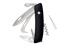 Immagine di Swiza HO05R-TT AM HORSE & TICK TOOL Black (KHO.0096.1010)
