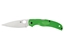 Immagine di Spyderco NATIVE CHIEF SALT GREEN PLAIN LC200N C244PGR