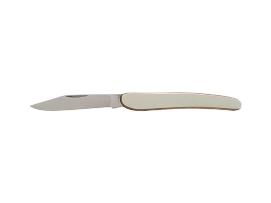 Immagine di FOLDING SATIN BRASS HANDLE