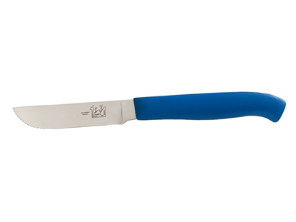 Picture of CAMEL STEAK KNIFE PVC HANDLE Blue