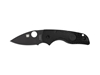 Immagine di Spyderco LIL' NATIVE FRN BLACK BLADE PLAIN C230PBBK
