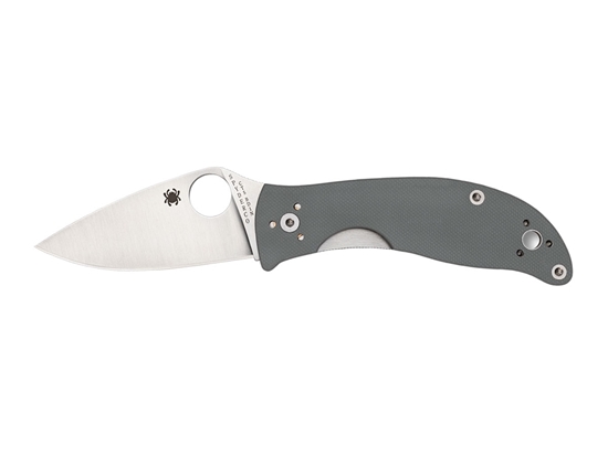 Immagine di Spyderco ALCYONE G-10 GREY C222GPGY