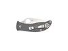 Immagine di Spyderco ALCYONE G-10 GREY C222GPGY