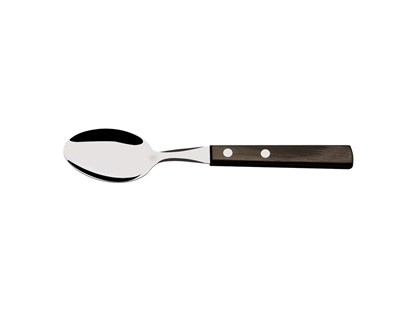 Immagine di Tramontina POLYWOOD FSC CUCCHIAIO (Table Spoon) 29810/171 Brown