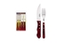 Immagine di Tramontina POLYWOOD FSC SET POSATE CARNE/BBQ 4 PZ 29899/162 Red