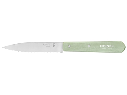 Immagine di Opinel ESSENTIELS N°113 SPELUCCHINO SEGA (Paring serr.) "SAUGE" CM 10 (003121)