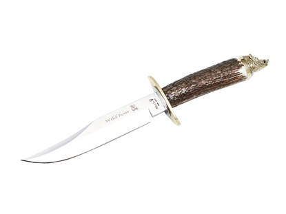 Immagine di Muela WILDBOAR STAG 16A GIFT BOX