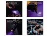 Immagine di NEBO TORCHY UV & BLACK LIGHT FLT-1061