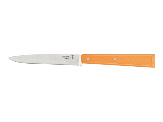 Immagine di Opinel BON-APPÉTIT N°125 Box 12 TAVOLA "POTIMARRON" (003267)