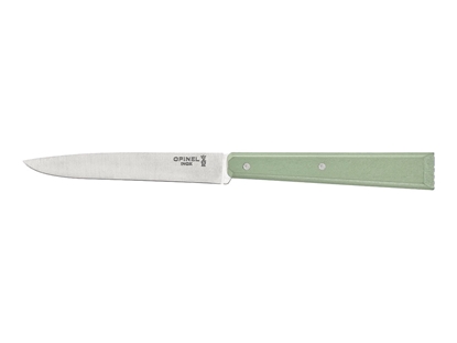 Immagine di Opinel BON-APPÉTIT N°125 Box 12 TAVOLA "SAUGE" (003269)