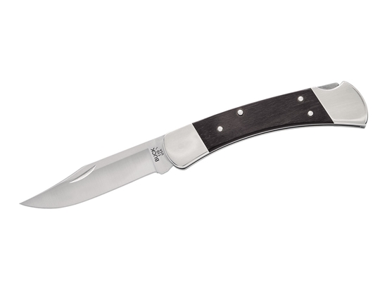 Immagine di Buck FOLDING HUNTER SLIM HERITAGE ELITE NICKEL 110BRS20-B